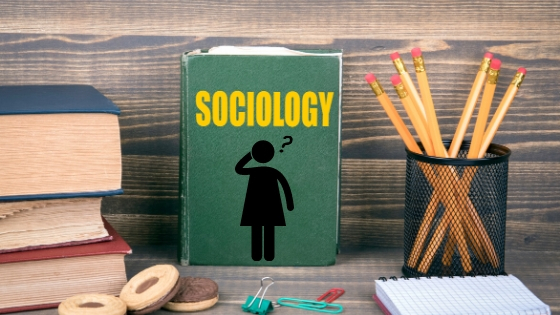 Career in Sociology