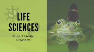 Life_Science