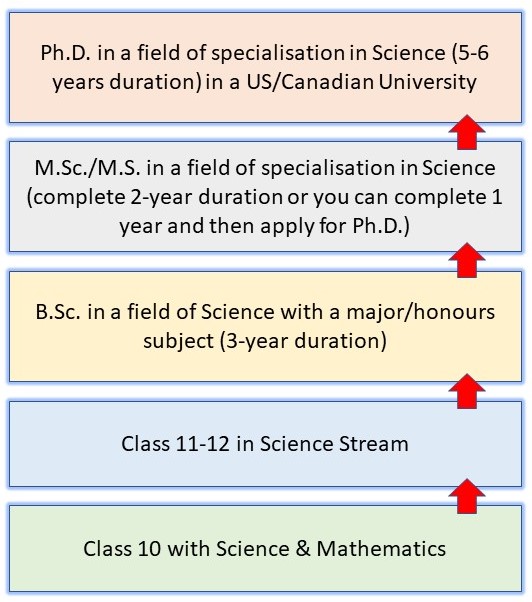 How to become a Scientist in India? A 12-Step Complete Guide for Success 11 How to Become a Scientist in India: Pathway 7