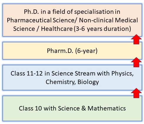 How to become a Scientist in India? A 12-Step Complete Guide for Success 16 How to Become a Scientist in India: Pathway 12