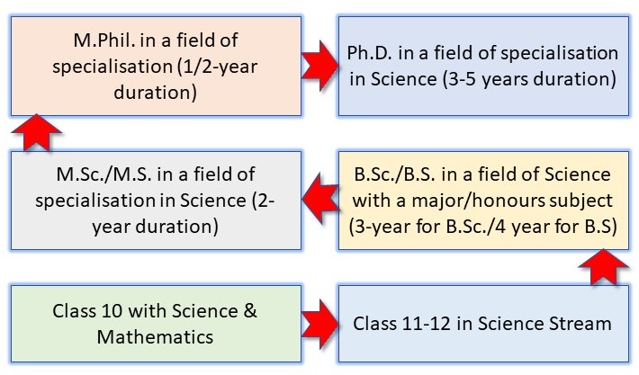 How to become a Scientist in India? A 12-Step Complete Guide for Success 6 How to Become a Scientist in India: Pathway 2