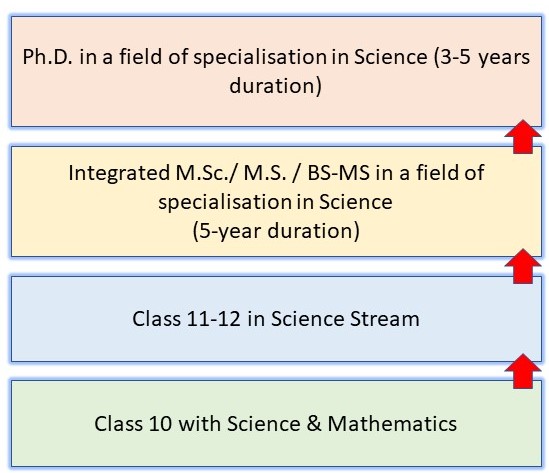 How to become a Scientist in India? A 12-Step Complete Guide for Success 8 How to Become a Scientist in India: Pathway 4