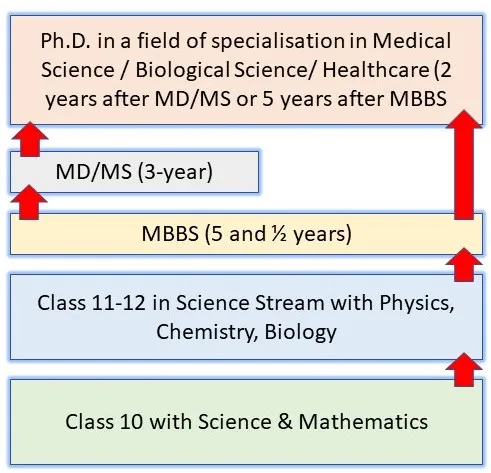 how to become a Scientist after non medical course