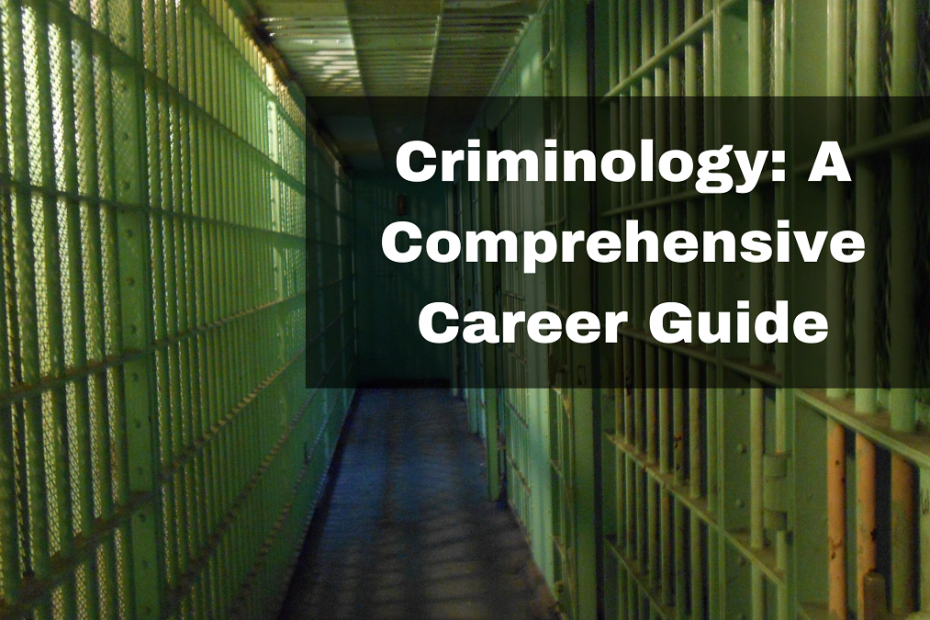 Criminology_A_Comprehensive_Guide