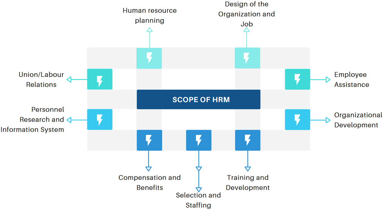 Careers In Human Resource Management, Training & Development - IDreamCareer