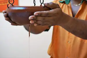 ayurveda courses