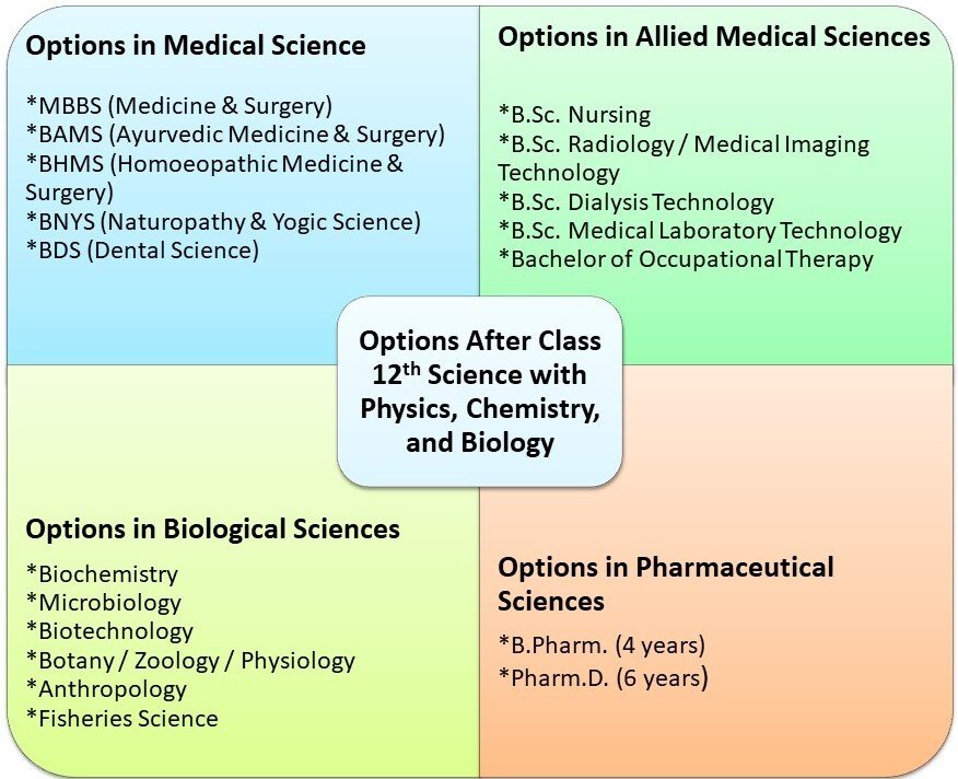 Courses After 12th Science List CAREER KEG   Courses After 12th 