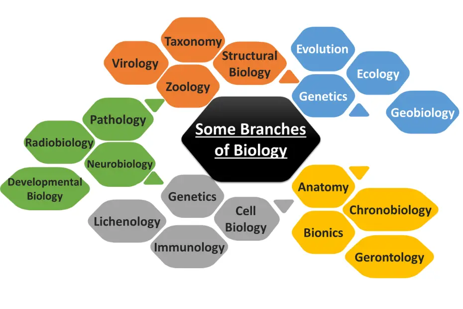 bipc subjects - Biology