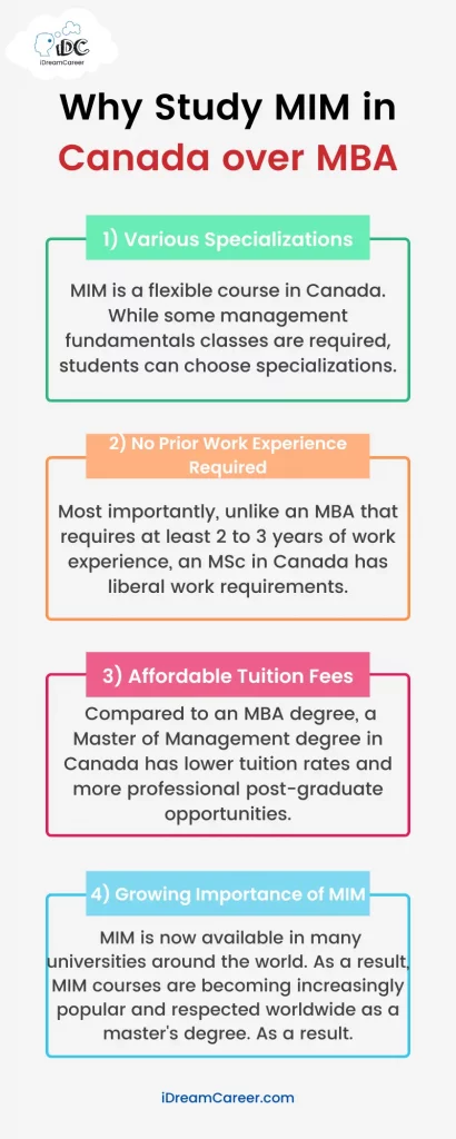 Study MIM in Canada over MBA