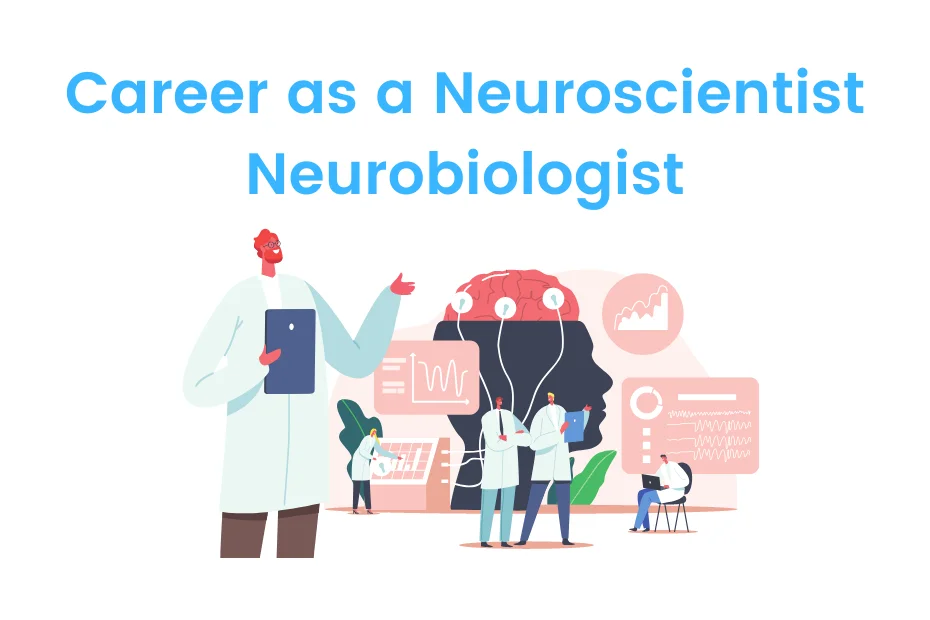 Career as a Neuroscientist Neurobiologist