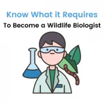 wildlife biologist
