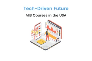 MIS Courses in the USA